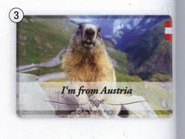 Magnet Rakousko svišť