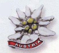 Odznak na klobouk Edelweiss Austria